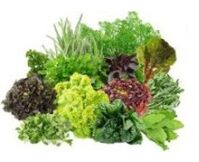 B9 B9 Vitaminas para o cérebro