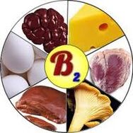 Vitaminas B2 B2 para o cérebro
