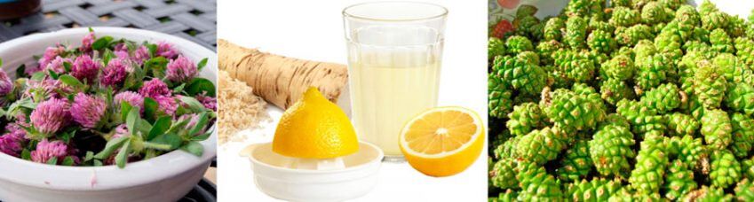 Métodos tradicionais para melhorar a função cerebral